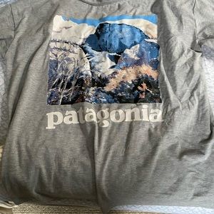Patagonia T